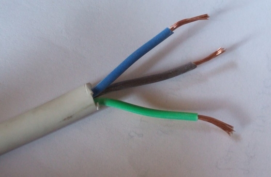 Hệ thống báo động hỏa hoạn dẫn điện đồng PVC cách nhiệt mạnh mẽ áo khoác đỏ 2 cáp báo động lõi